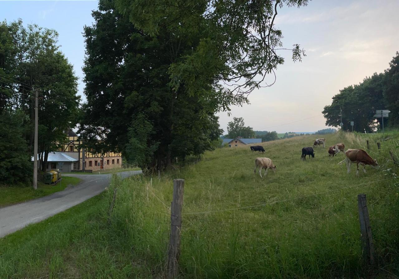 Penzion Stara Skola Vikantice Екстер'єр фото